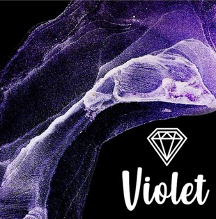 spirtovyie chernila Craft INK, Magic Series, Violet Фото 